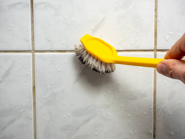Best Black Mold Removal  in Henderson, TN