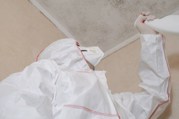 Best Attic Mold Removal  in Henderson, TN