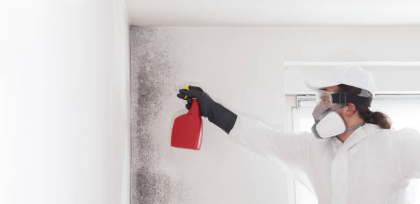 Best Emergency Mold Removal  in Henderson, TN
