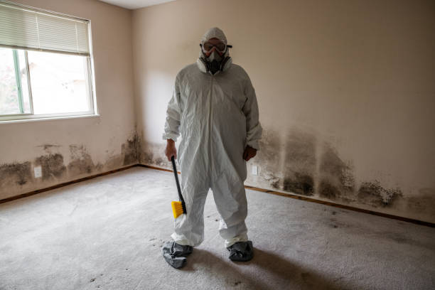 Home Mold Removal in Henderson, TN